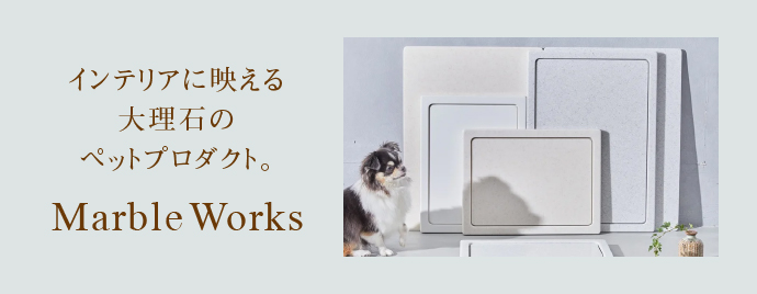 �����ФǺ��ץ�������