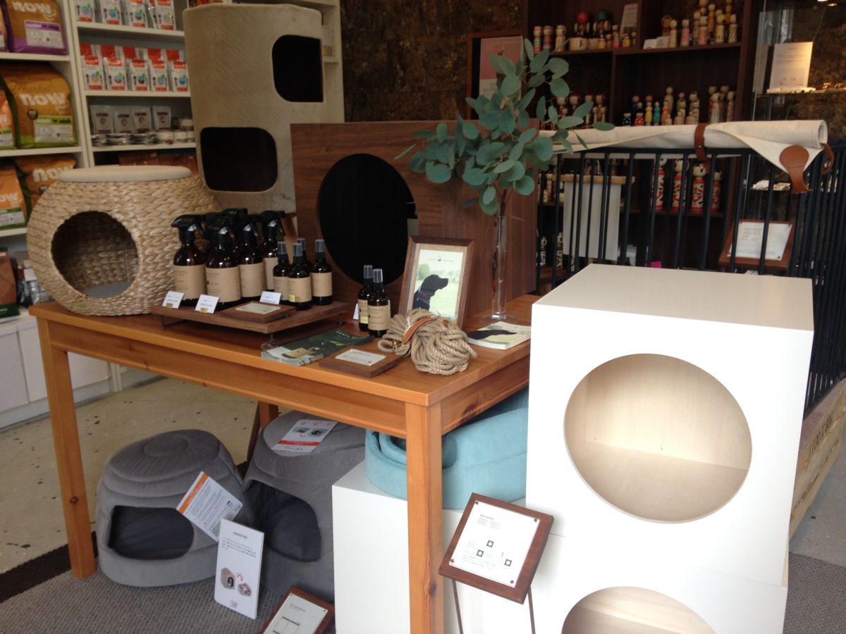 POP UPイベントのお知らせ