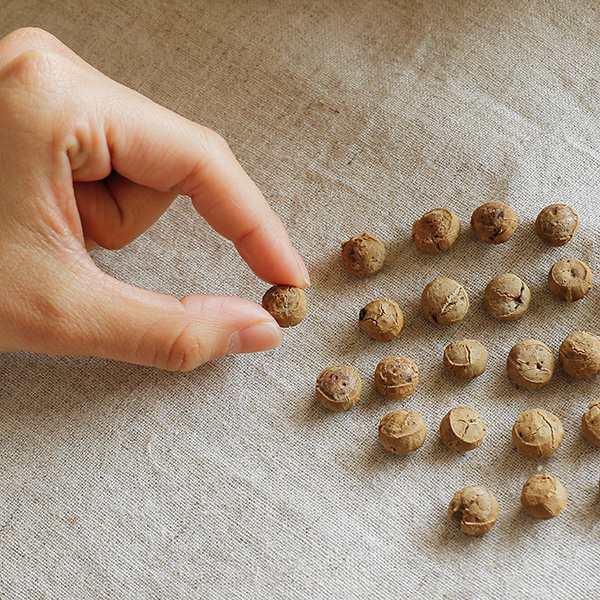 たいくつな雨の日は…