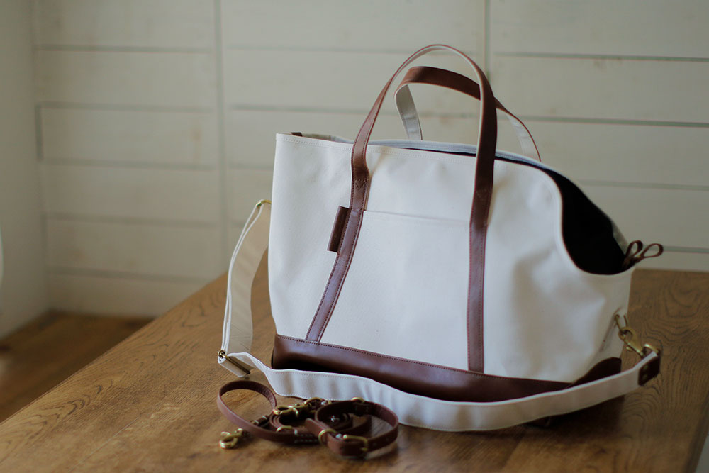 キャリーバッグ新色をリリースしました！