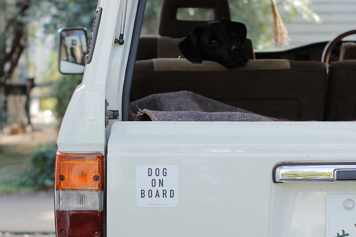 DOG＆CATステッカーができました！